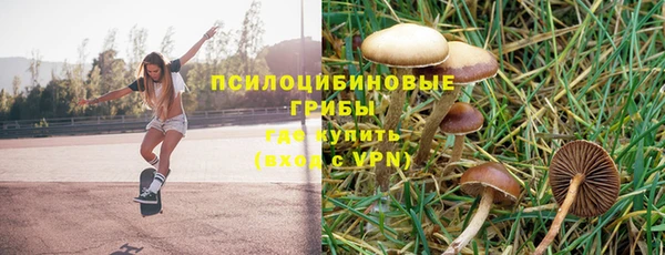 амф Арсеньев